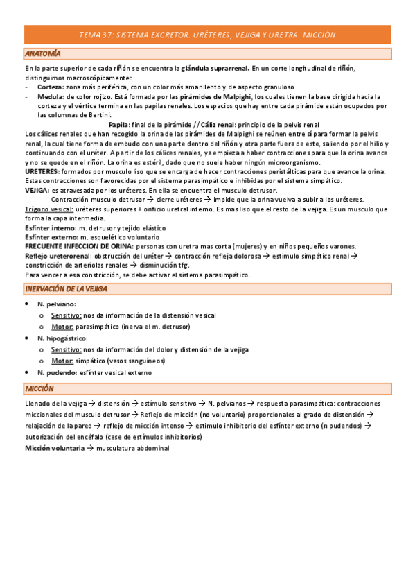 Miniatura del documento TEMA-37-COMPLETO.pdf