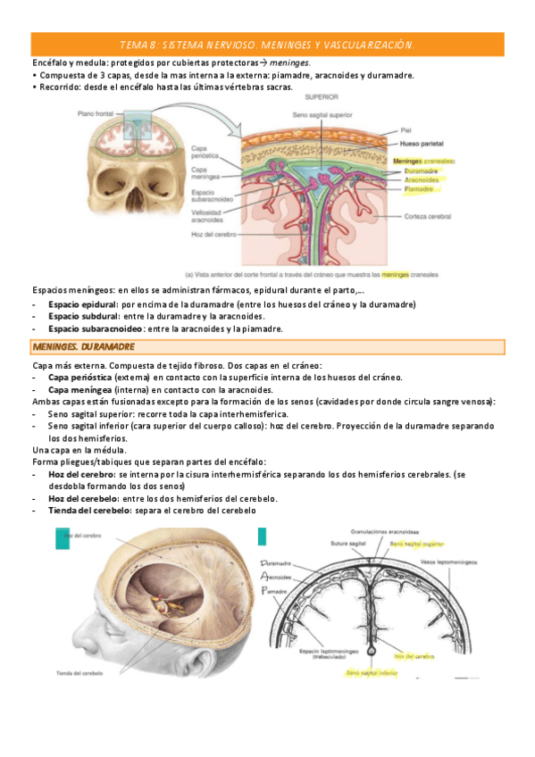 Miniatura del documento TEMA-8-COMPLETO.pdf