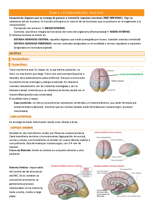 Miniatura del documento TEMA-4-COMPLETO.pdf