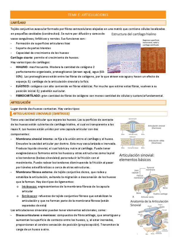 Miniatura del documento TEMA-5-COMPLETO.pdf