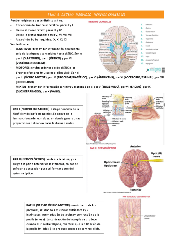 Miniatura del documento TEMA-6-COMPLETO.pdf