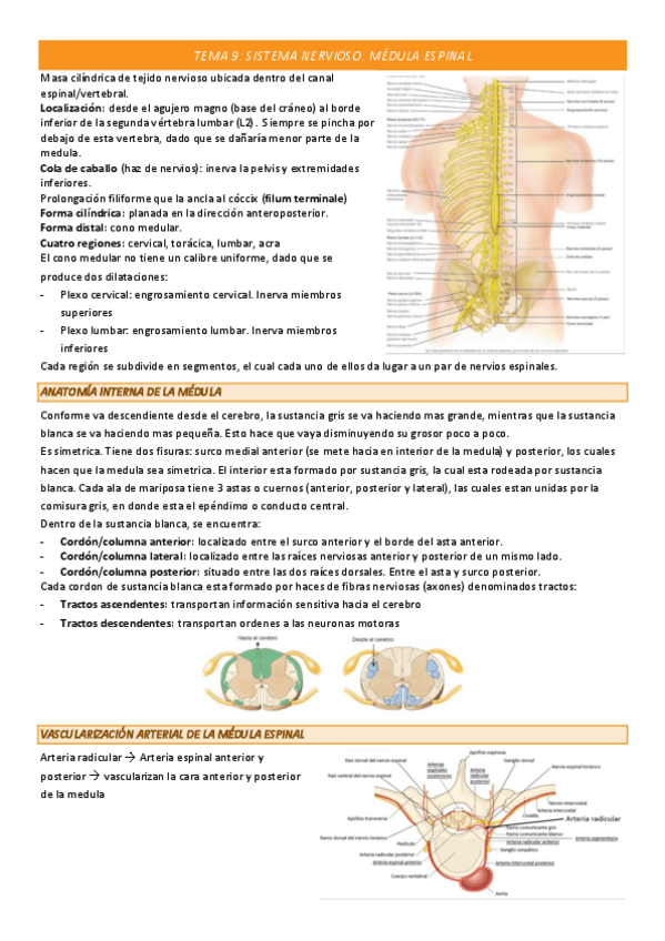 Miniatura del documento Tema-9-COMPLETO.pdf