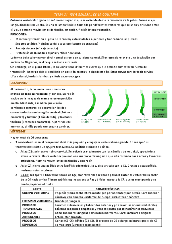 Miniatura del documento TEMA-14-COMPLETO.pdf