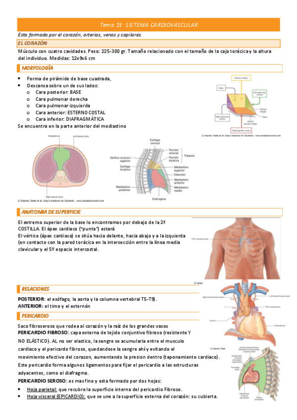 Miniatura del documento Tema-13-COMPLETO.pdf