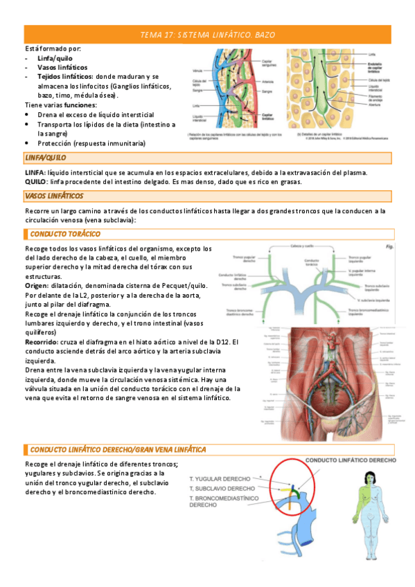 Miniatura del documento TEMA-17-COMPLETO.pdf