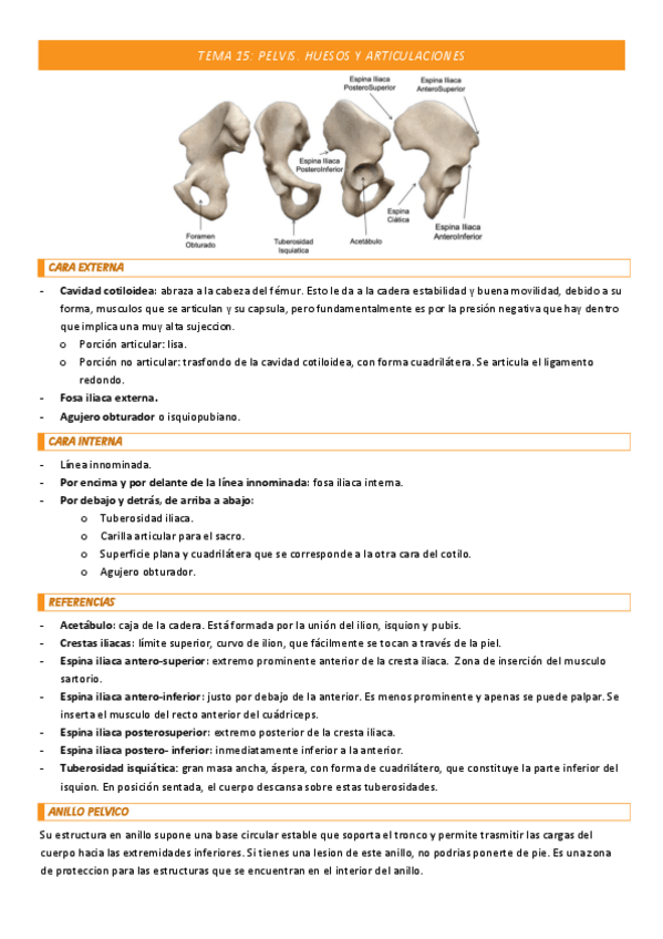 Miniatura del documento TEMA-15-COMPLETO.pdf