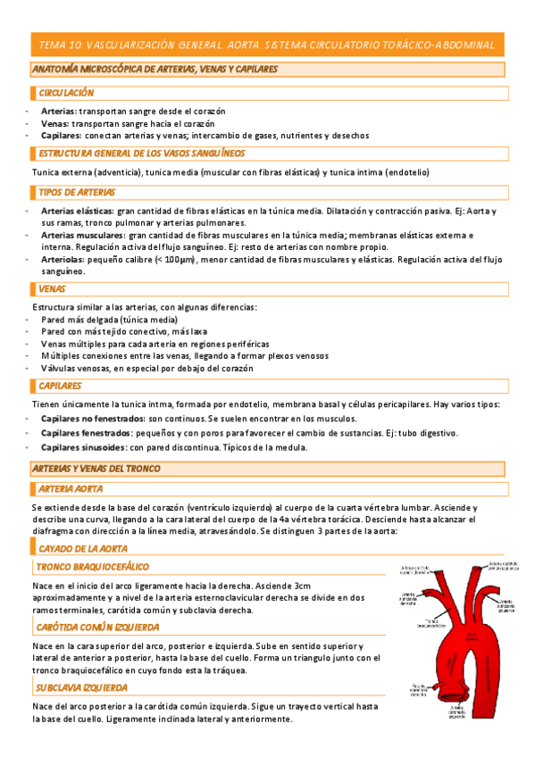 Miniatura del documento TEMA-10-COMPLETO.pdf