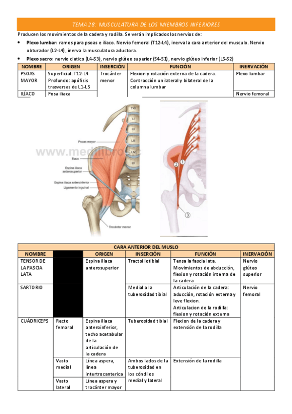 Miniatura del documento TEMA-28-COMPLETO.pdf