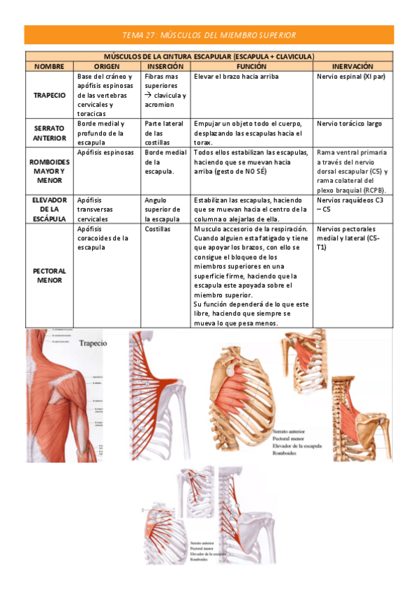 Miniatura del documento TEMA-27-COMPLETO.pdf