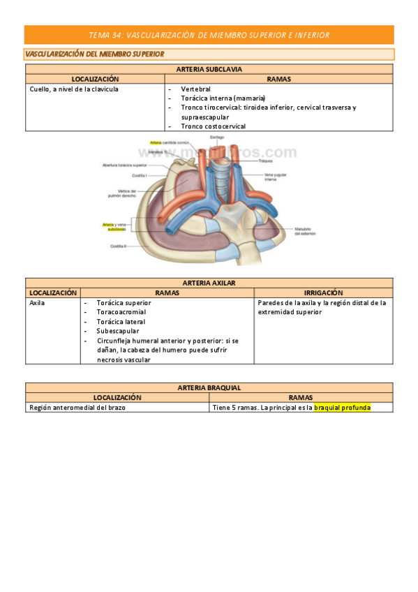 Miniatura del documento TEMA-34-COMPLETO.pdf