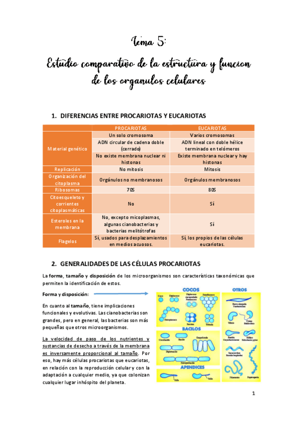 Miniatura del documento TEMA-5.pdf