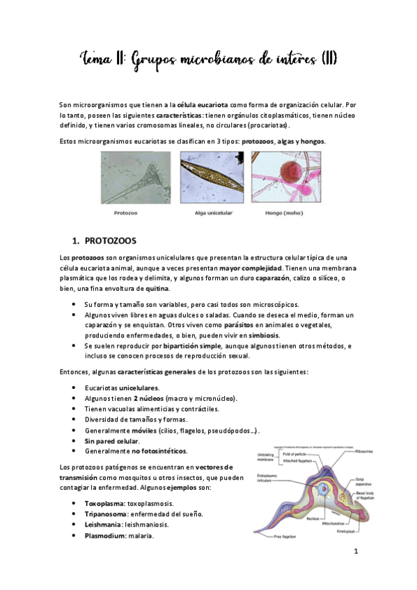 Miniatura del documento TEMA-11.pdf