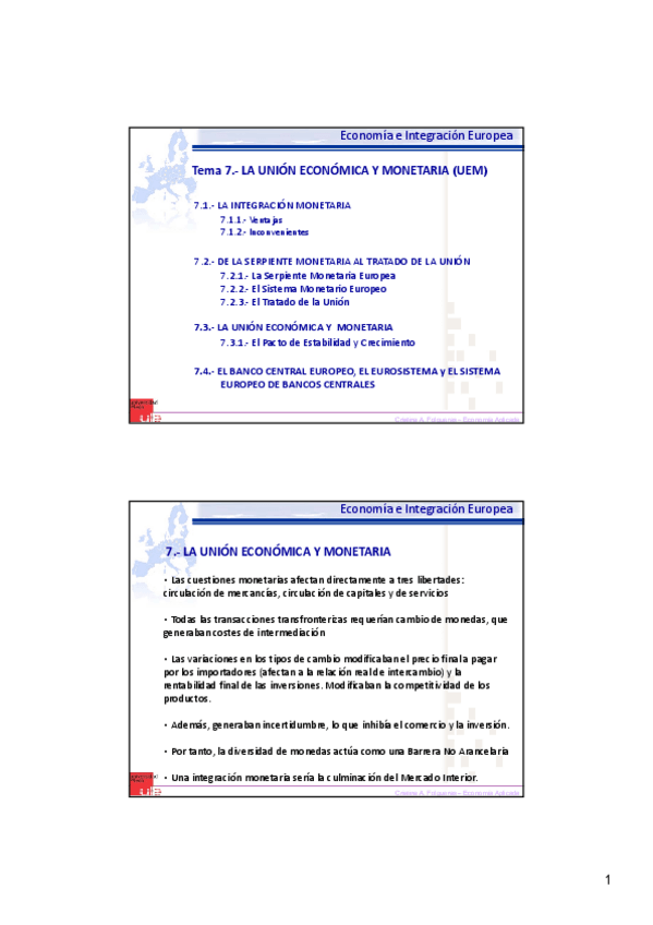Miniatura del documento EURT7UEM.pdf