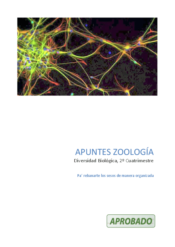 Miniatura del documento apuntes zoología de la hostia fin.pdf