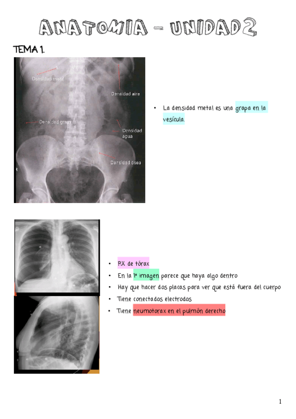 Miniatura del documento IMAGENES-UNIDAD-2.pdf