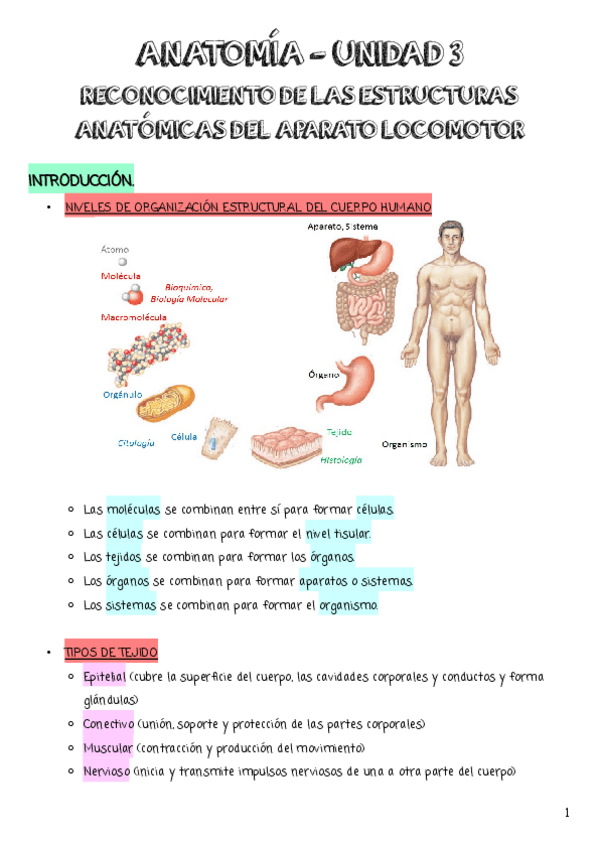 Miniatura del documento UNIDAD-3.pdf