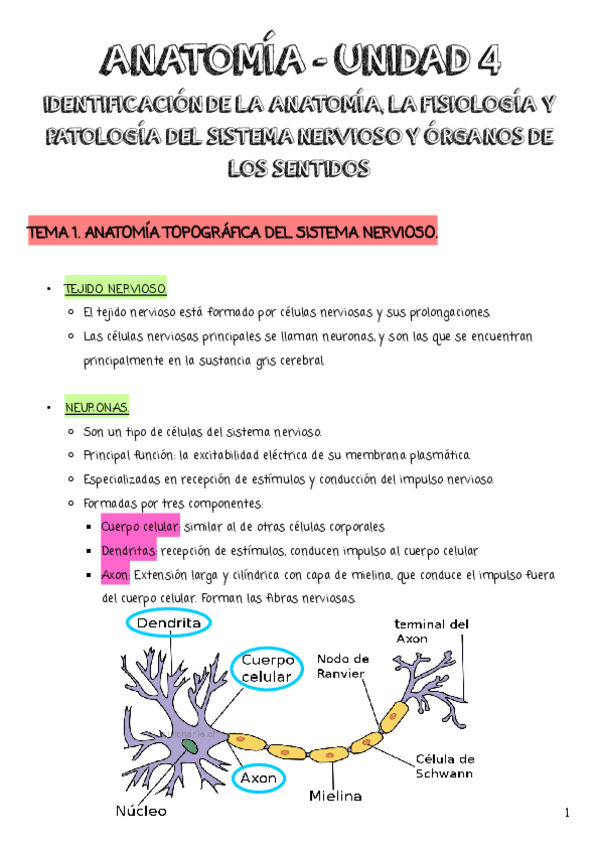 Miniatura del documento UNIDAD-4-PRIMERA-PARTE.pdf