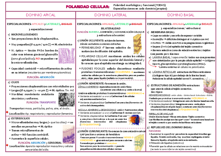Miniatura del documento TABLAS-RESUMEN.pdf