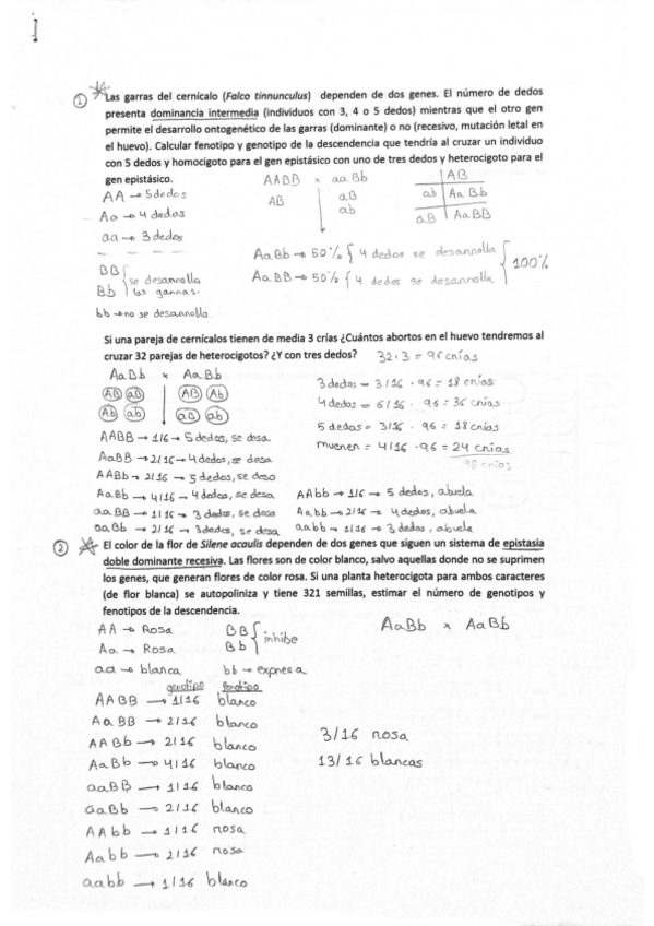Miniatura del documento Problemas-de-genetica-resueltos.pdf