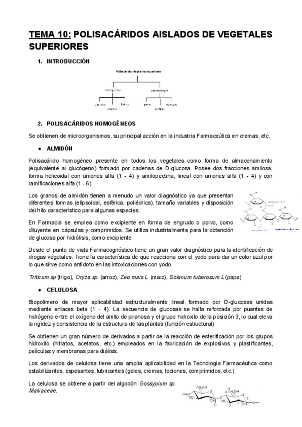 Miniatura del documento TEMA-10.pdf
