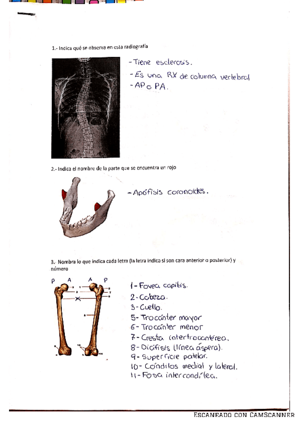 Miniatura del documento ACTIVIDADES-1.pdf