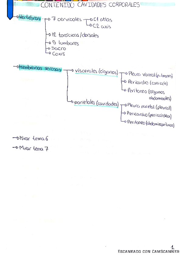 Miniatura del documento UNIDAD-1-2-Y-3.pdf