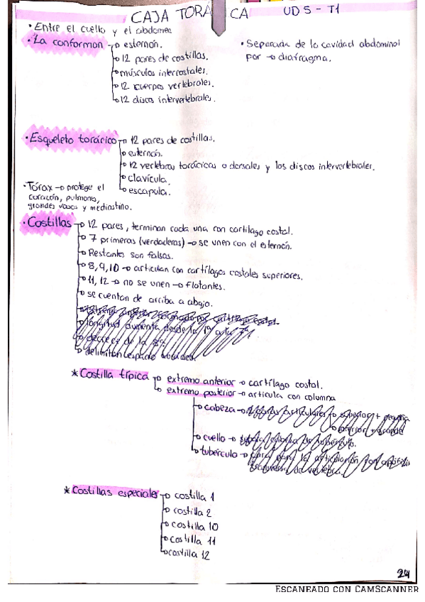 Miniatura del documento UNIDAD-5.pdf