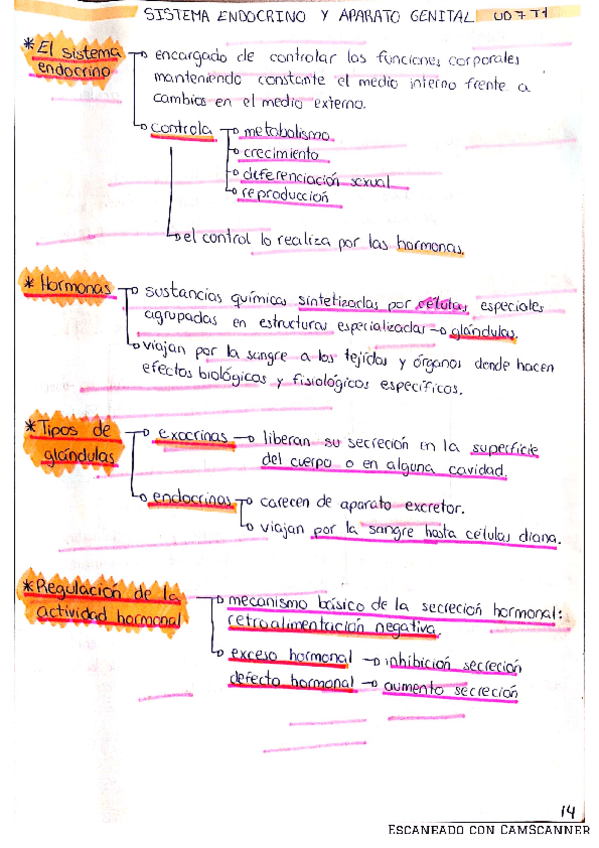 Miniatura del documento UNIDAD-7.pdf