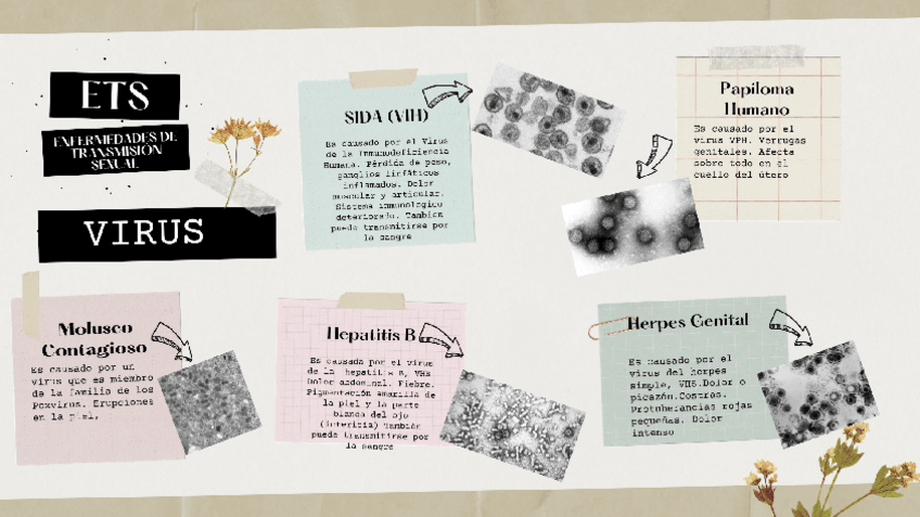 Miniatura del documento ETSSandra-Sanchez.pdf