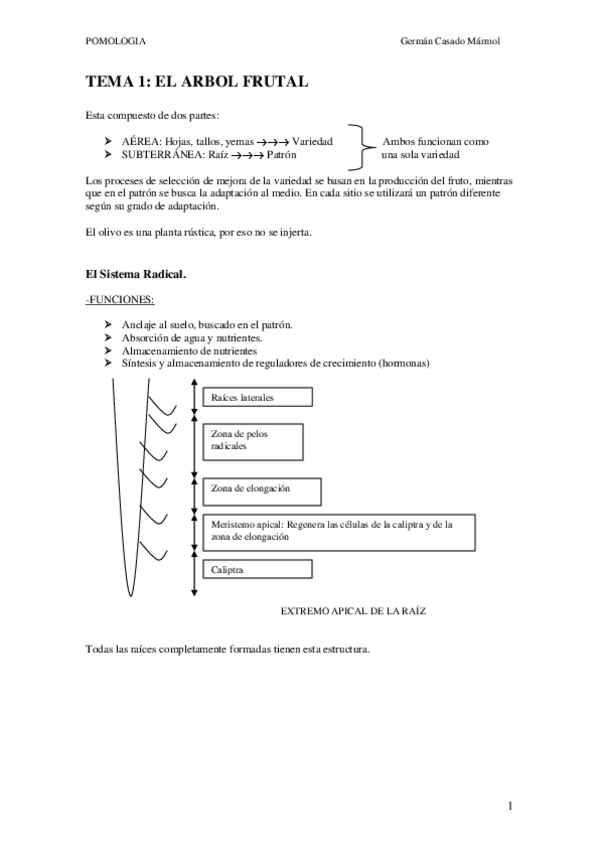 Miniatura del documento PomologAa-Primer-cuatri.pdf