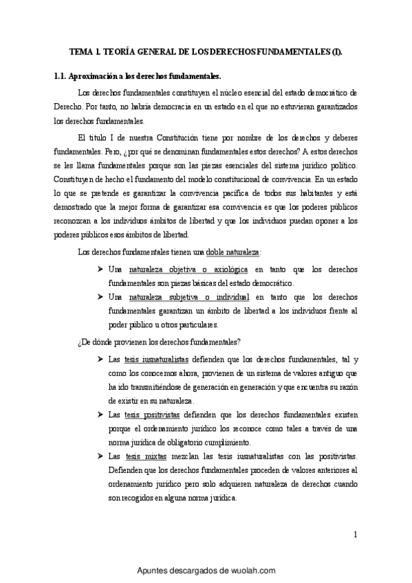 Miniatura del documento DERECHOS-FUNDAMENTALES.pdf