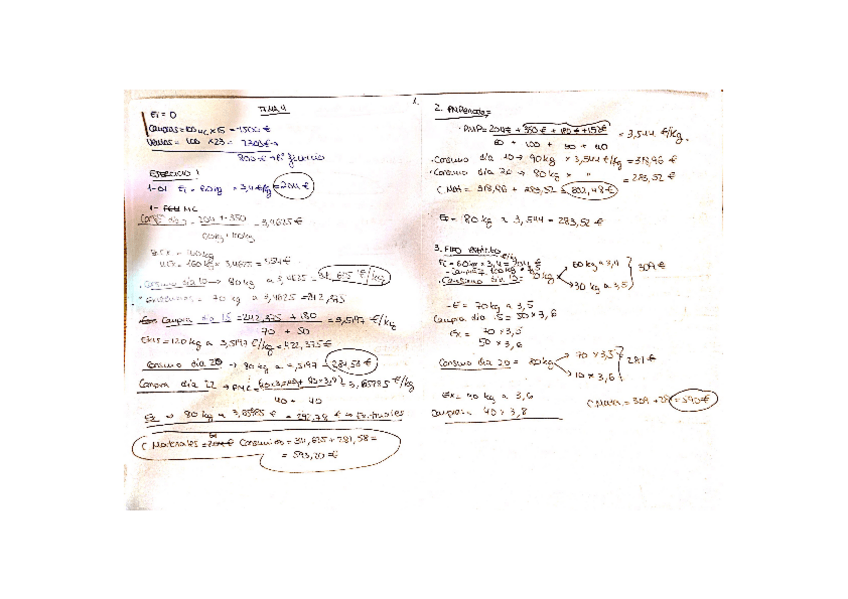 Miniatura del documento Ejercicios-y-formulas-CG.pdf
