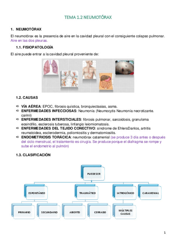 Miniatura del documento TEMA-1.pdf