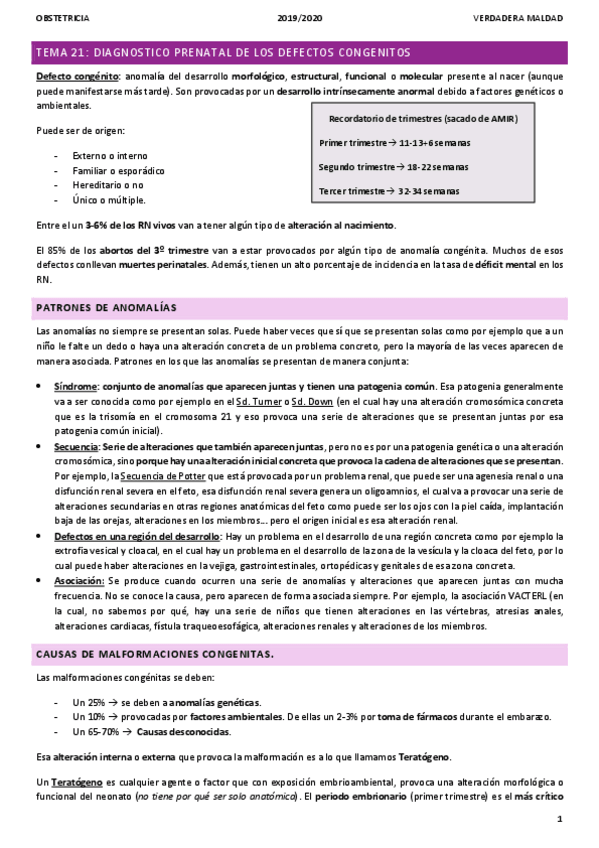 Miniatura del documento TEMA-21-DIAGNOSTICO-PRENATAL-DE-LOS-DEFECTOS-CONGENITOS.pdf