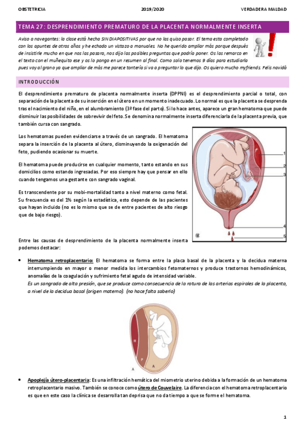 Miniatura del documento TEMA-27-desprendimiento-prematuro-de-placenta.pdf