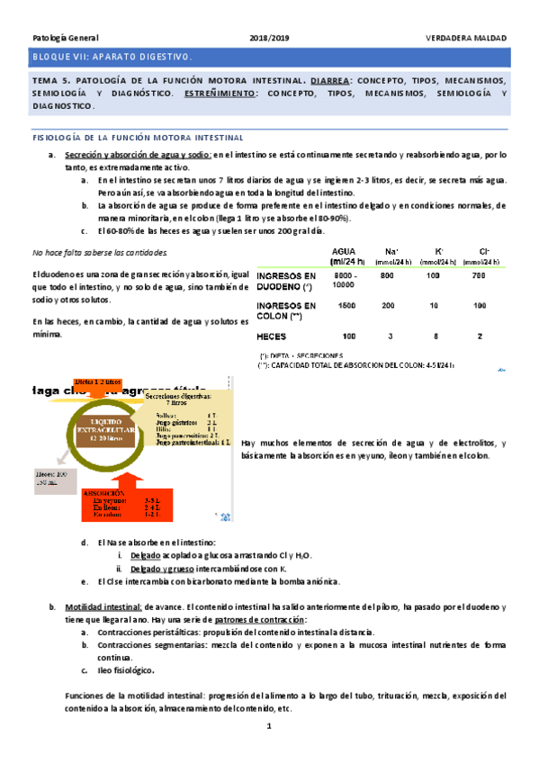 Miniatura del documento TEMA-5-PATOLOGIA-DEL-TRANSITO-INTESTINAL.pdf