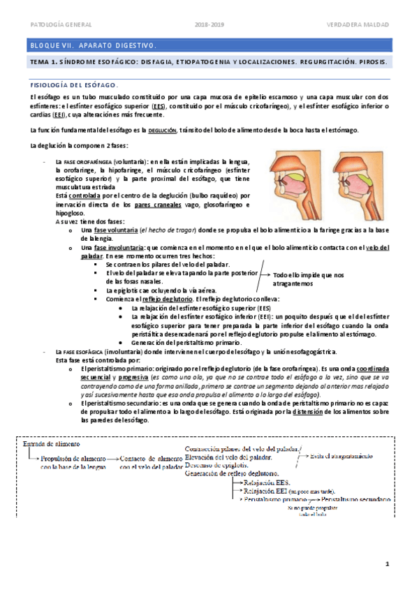 Miniatura del documento TEMA-1-Sindrome-esofagico.pdf