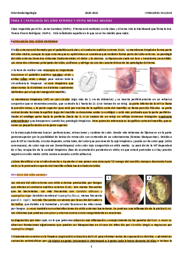 Miniatura del documento TEMA-3-OIDO-EXTERNO-Y-OMA.pdf