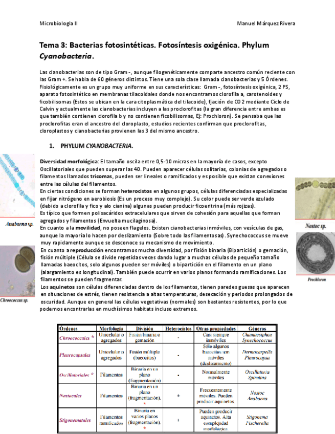 Miniatura del documento Tema 3.pdf