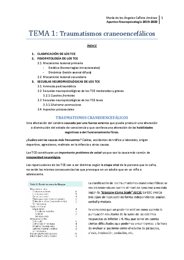 Miniatura del documento TEMA-1-neuropsico.pdf