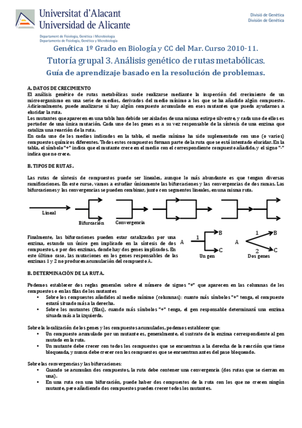 Miniatura del documento TG3GA-rutas-genetica.pdf