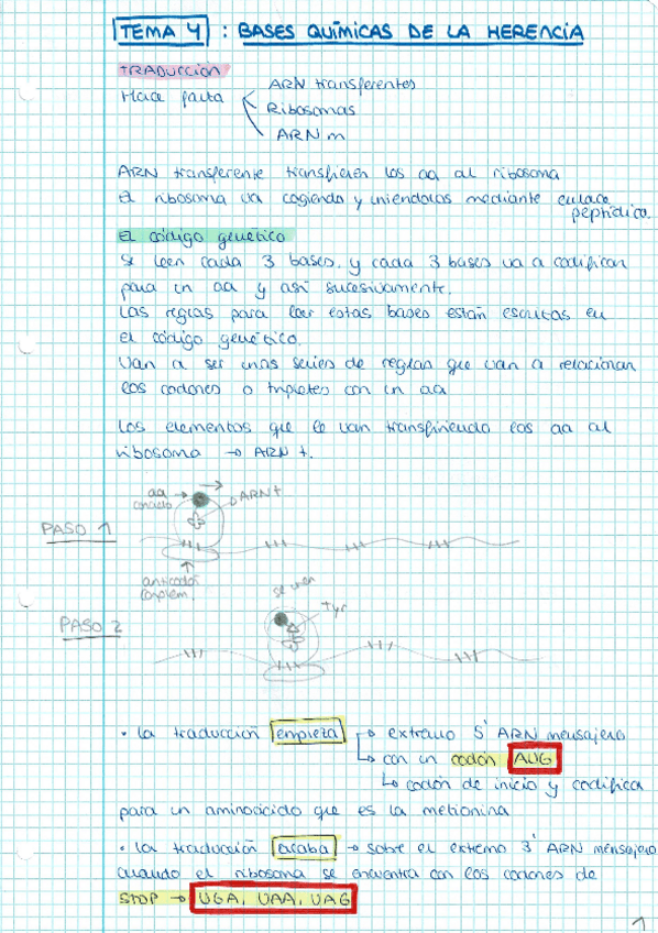 Miniatura del documento tema-4-bases-quimica-herencia.pdf