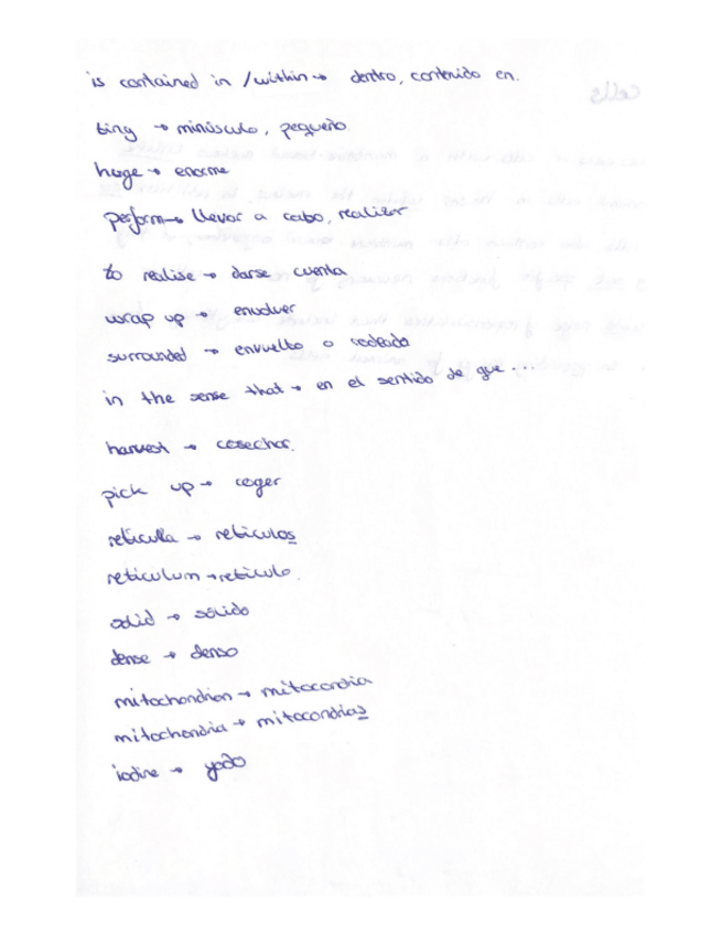 Miniatura del documento Vocabulario-3.pdf