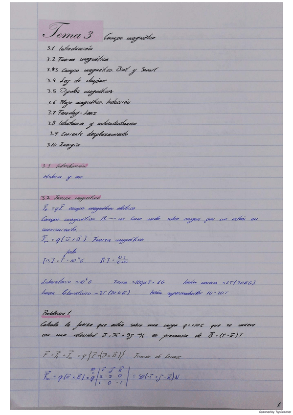 Miniatura del documento 255065.pdf