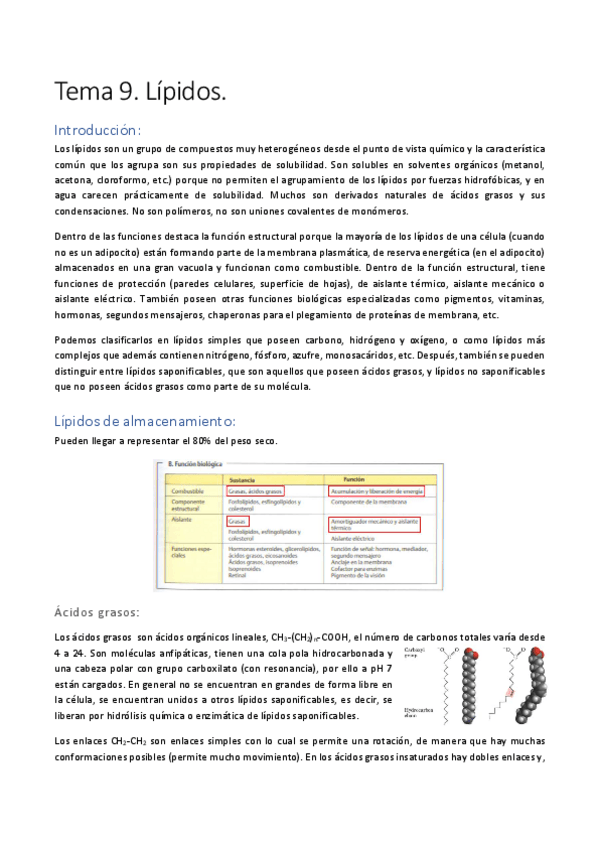Miniatura del documento Tema-9.pdf