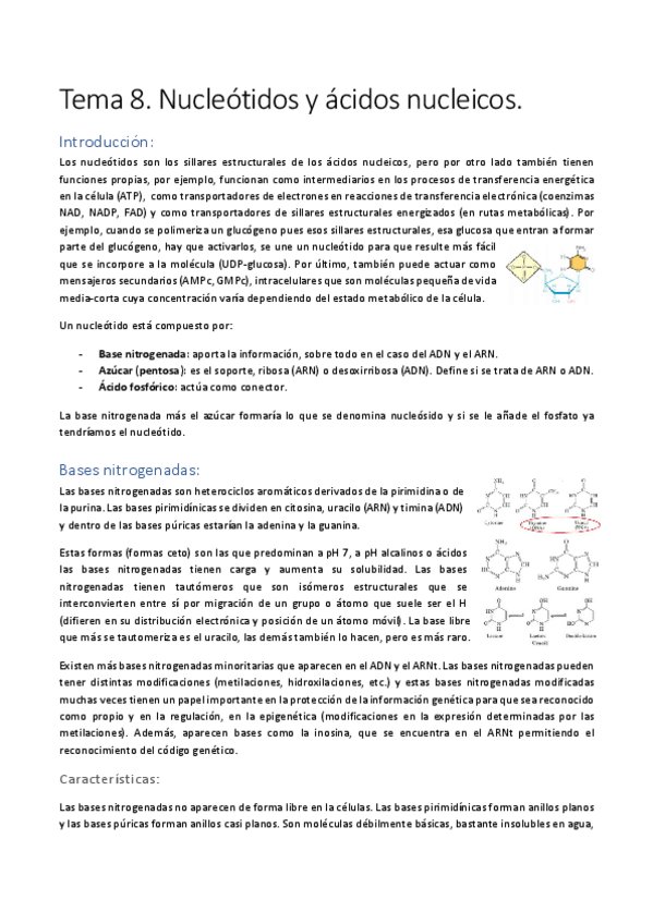 Miniatura del documento Tema-8.pdf