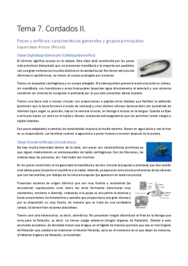 Miniatura del documento Tema-7.pdf