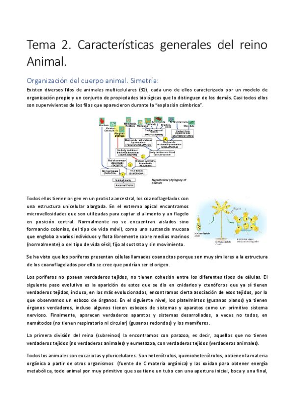 Miniatura del documento Tema-2.pdf