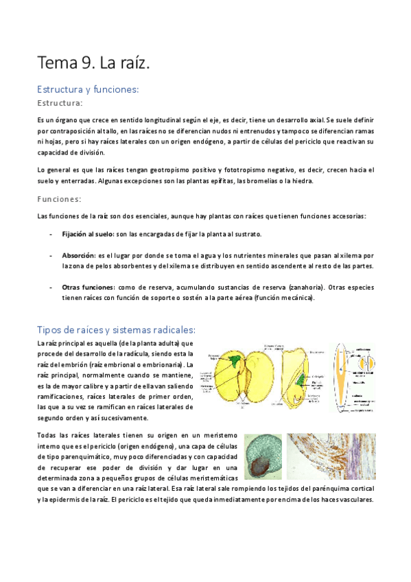 Miniatura del documento Tema-9.pdf
