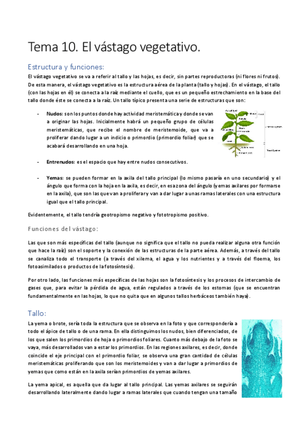Miniatura del documento Tema-10.pdf